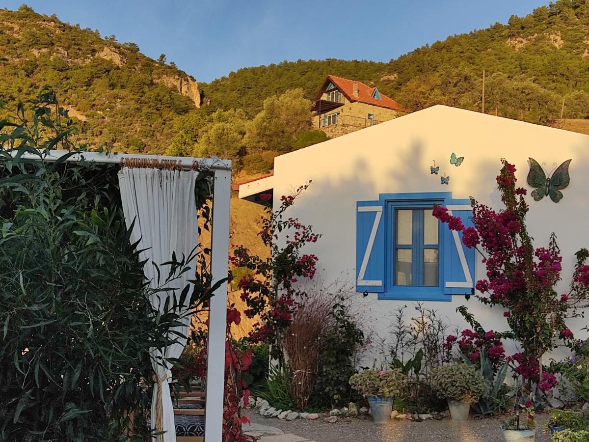 Mavi Kelebek Datca Hotel Exterior photo