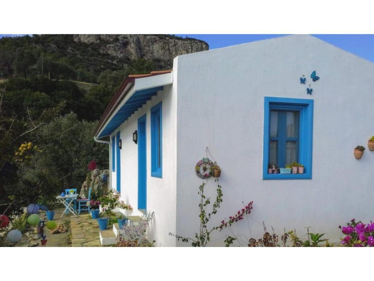 Mavi Kelebek Datca Hotel Exterior photo