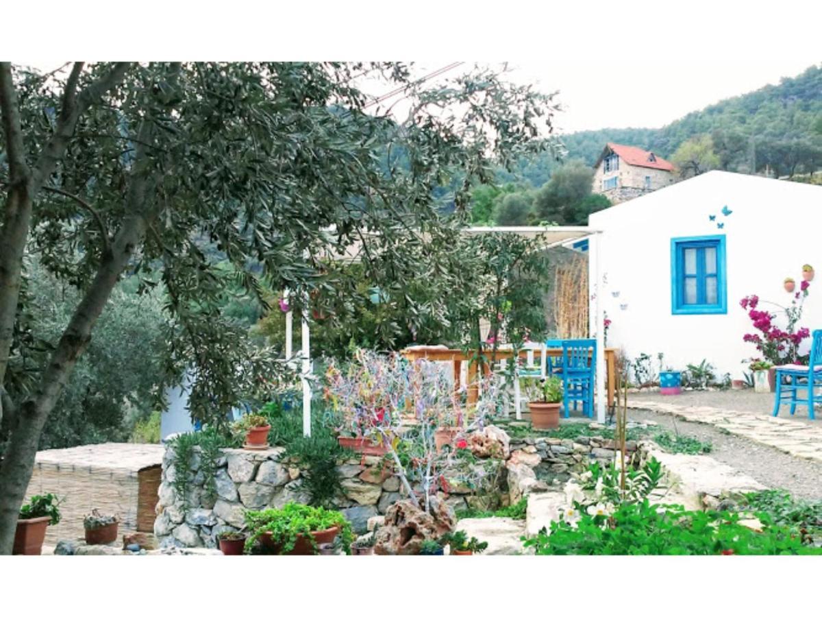 Mavi Kelebek Datca Exterior photo